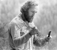 gwydion pendderwen gwydion pendderwen